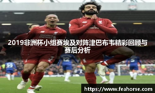 2019非洲杯小组赛埃及对阵津巴布韦精彩回顾与赛后分析