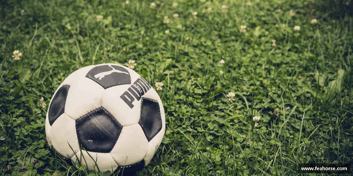 芒果体育官方网站不断进步，逐步实现目标。